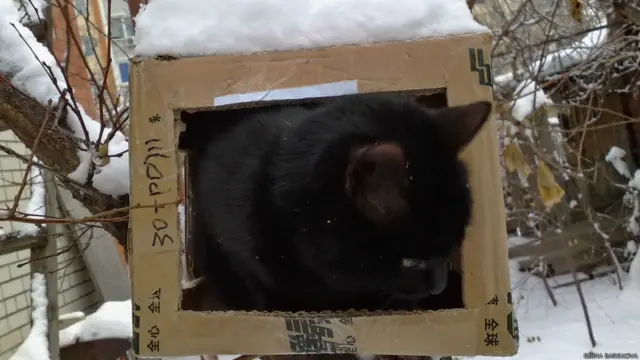 Фото: Елена Барскова