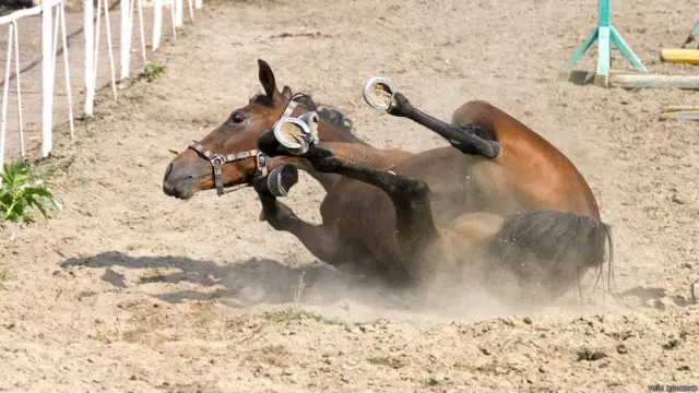 Фото: Юрий Дениско