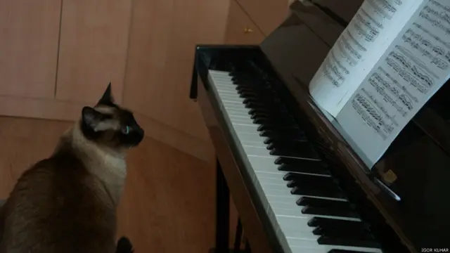 Фото: Игорь Кухарь