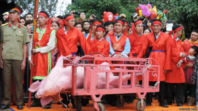 Lễ hội Chém lợn tại làng Ném Thượng. Ảnh: Tổ chức Động vật châu Á cung cấp