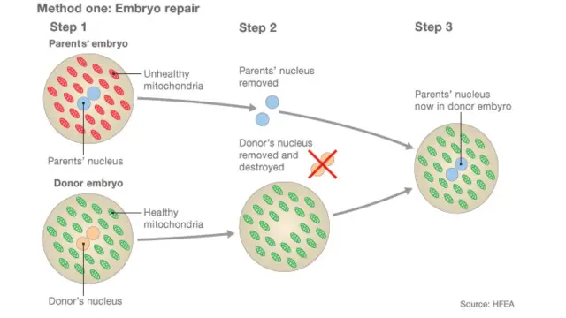 1) Dua sel telur dibuahi sperma, menghasilkan satu embrio dari orangtua dan satu lagi dari donor. 2) Pronukleus, yang berisi informasi genetik, dikeluarkan dari kedua embrio namun hanya pronukleus dari orang tua yang dipertahankan 3) Embrio sehat tercipta dengan menambahkan pronukleus orang tua ke dalam embrio donor, yang akhirnya ditanamkan dalam rahim.