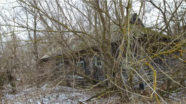 Деякі стали схожі на хатку Баби Яги. 