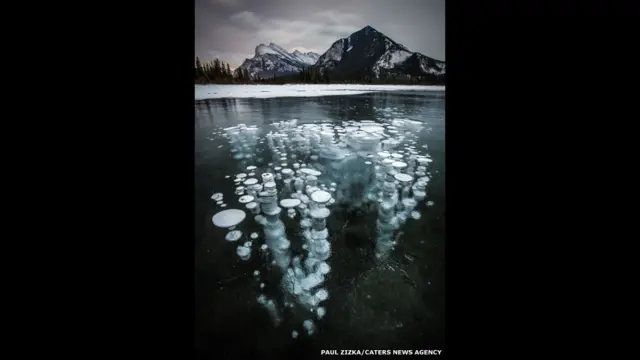 Burbujas de gas metano bajo la superficie helada de un lago. Fotografía: Paul Zizka. 