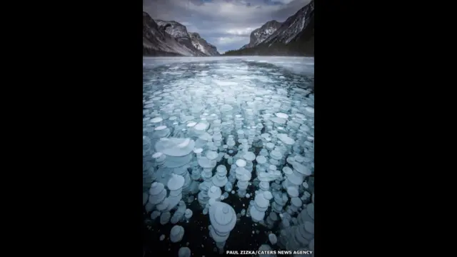 Burbujas de gas metano bajo la superficie helada de un lago. Fotografía: Paul Zizka. 