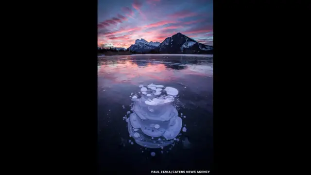 Burbujas de gas metano bajo la superficie helada de un lago. Fotografía: Paul Zizka. 