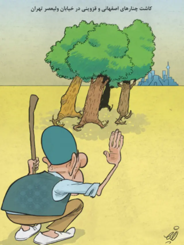 کارتون نعیم تدین، شهروند