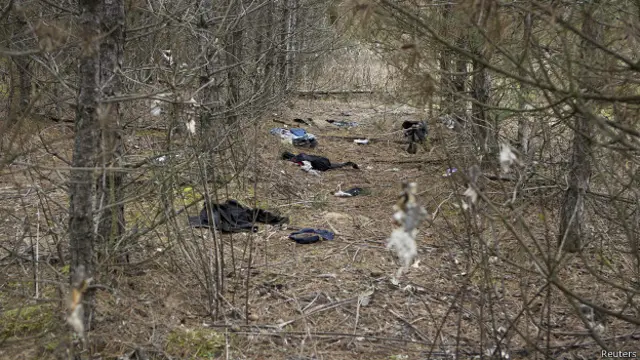 Лес у границы