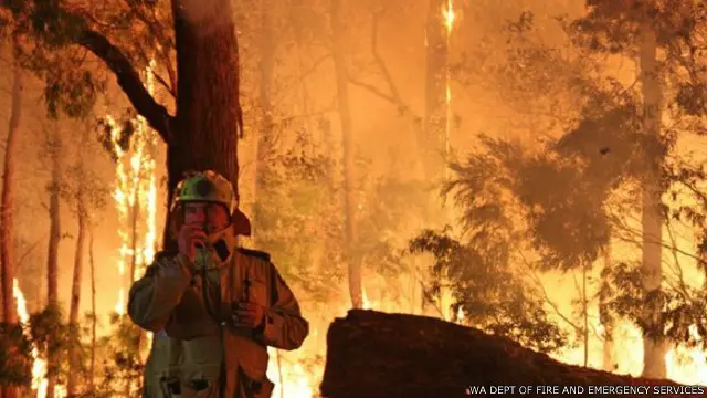 أستراليا تكافح واحدا من أسوأ موسم لحرائق الغابات على الإطلاق في غربي البلاد