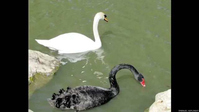 Фото: Эмануиль Каплинский