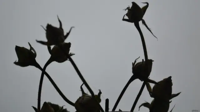 Фото: Урсула