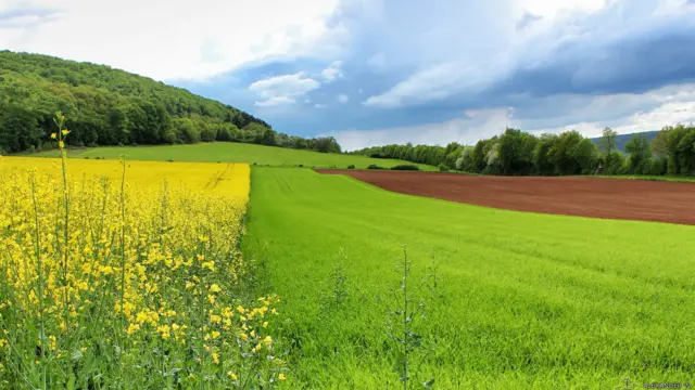 Фото: Александр В.