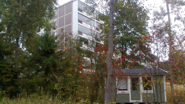 Фото: Лариса