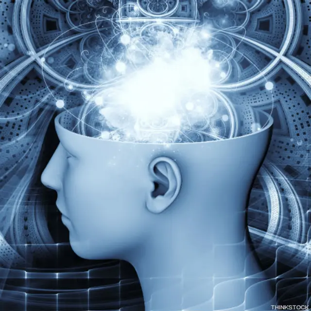 Una ilustración de "una puerta al cerebro"