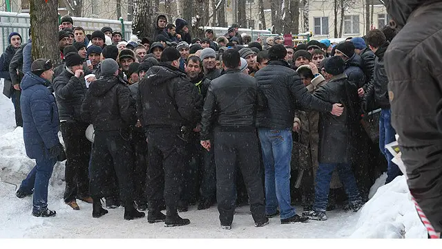 Sichqoncha quloqlari jinsiy olatni