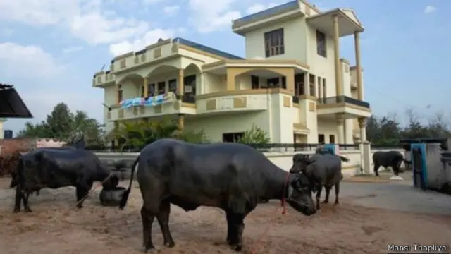 Keluarga Yuvraj tinggal di dekat rumah Singh.