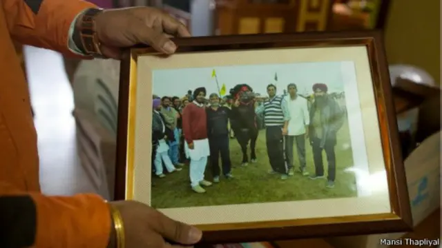 Yuvraj langganan juara kontes ternak India.