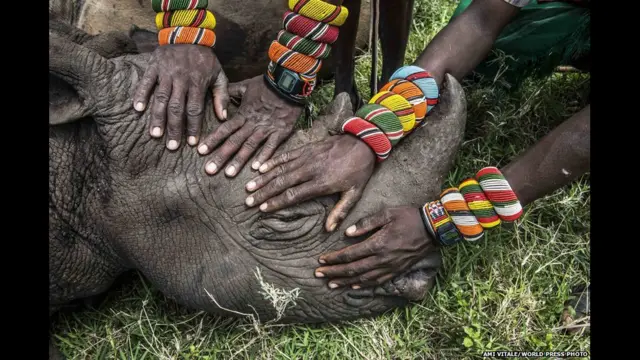 кенийские воины и носорог