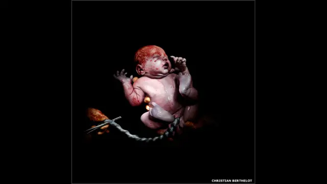 Кевин, родился 27.12.2013 в 10 часов 36 мин.