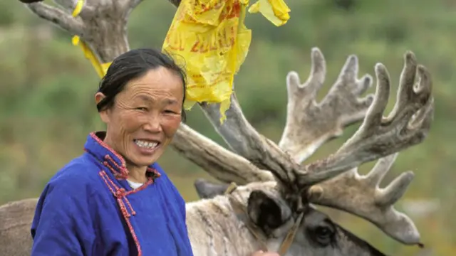 Với người Tsaatan, đàn tuần lộc là món tài sản quý giá