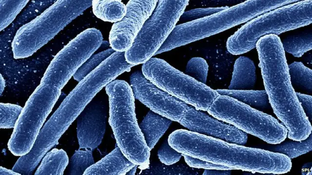 Bakteri yang kebal terhadap antibiotik disinyalir akan meningkat secara signifikan dalam 20 tahun mendatang.