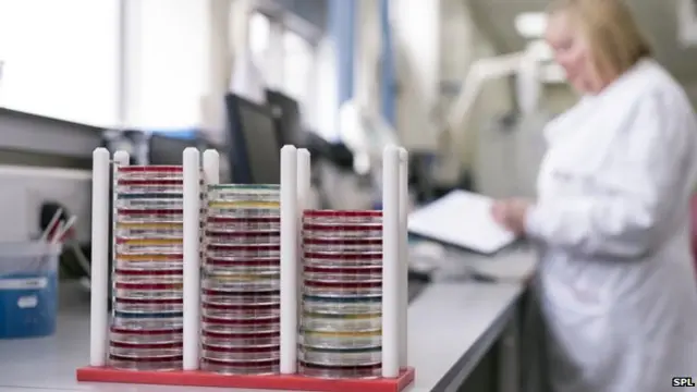 تظهر الأرقام زيادة بنسبة 6 بالمئة في وصفات المضادات الحيوية خلال الفترة بين عامي 2010 و2013