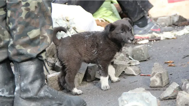 Наступного ранку почався новий виток сутичок, які вилилися в десятки жертв і втечу президента Януковича в Росію. Всі фото: Олег Карп'як.