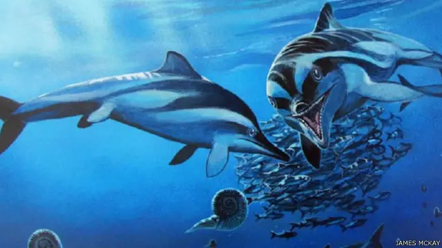 سيطرت زواحف الإكتيوصور على الحياة البحرية في عصر الديناصورات.