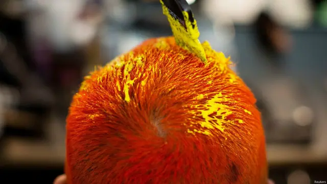 न्यूयॉर्क