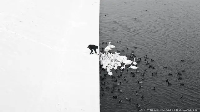 हंसों को खाना खिलाते एक व्यक्ति, मार्सिन रिकज़ेक, दूसरा स्थान