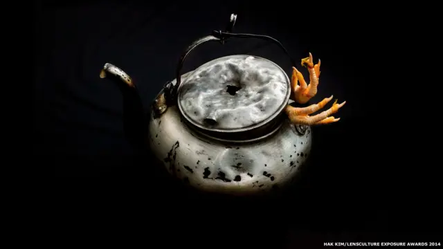 'कैटल एंड चिकन'