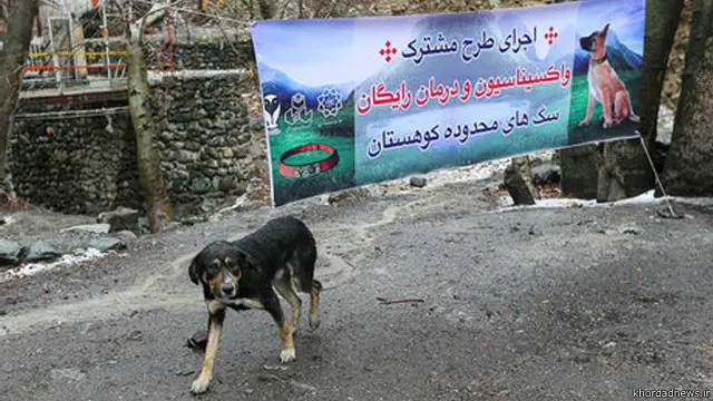 عکس خردادنیوز از مراسمی که برای طرح واکسیناسیون سگها توسط شهرداری و با کمک گروههای حامی حقوق حیوانات برگزار شد