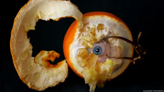 Фото: Александр Пономарев