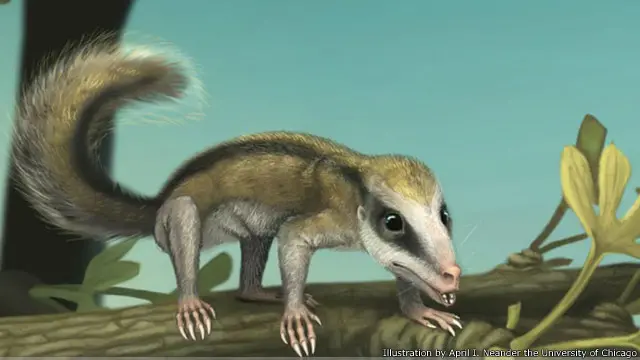 تصور لشكل أول حيوان ثديي منقرض معروف كان يعيش فوق الأشجار