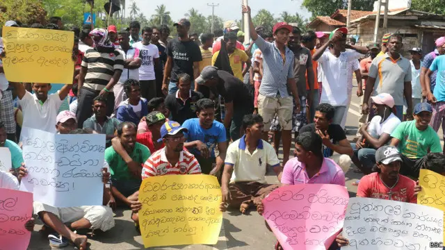 கடந்த வாரத்தில் சுமார் 100 டால்பின் மீன்கள் கொல்லப்பட்டுள்ளதாக மீனவர்கள் கூறுகின்றனர்