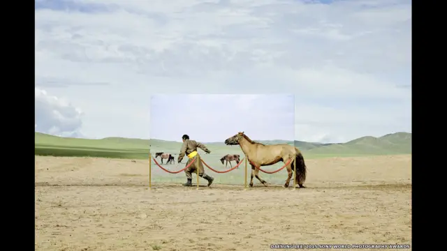 عکسی از دیسانگ لی از جمهوری کره که بخشی از پروژه ای است که به بیابان سازی ها در مغولستان می پردازد. 