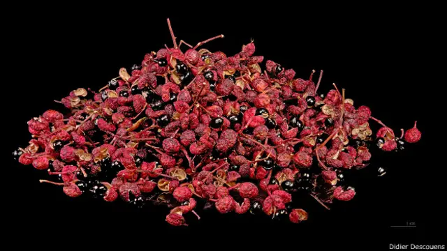 Pimienta de Sichuan