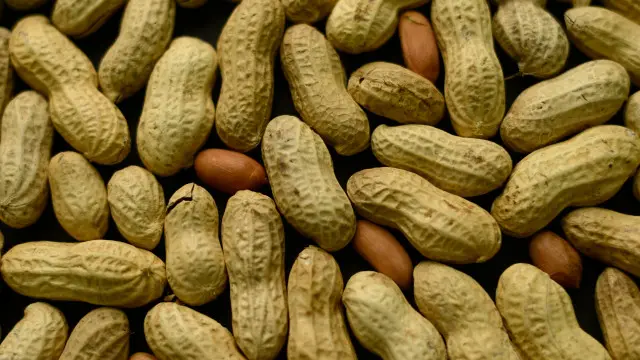 Semiz qora ayollar ishtirokidagi porno videolarni onlayn tomosha qiling Yoqotadi va zavq oladi