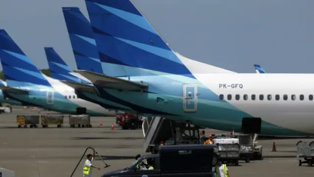 مکھی ہوا کی رفتار ناپنے والی اہم ’پیٹوٹ‘ ٹیوب کے اندر پھنس گئی تھی