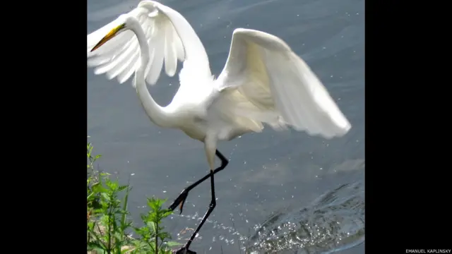 Фото: Эмануиль Каплинский