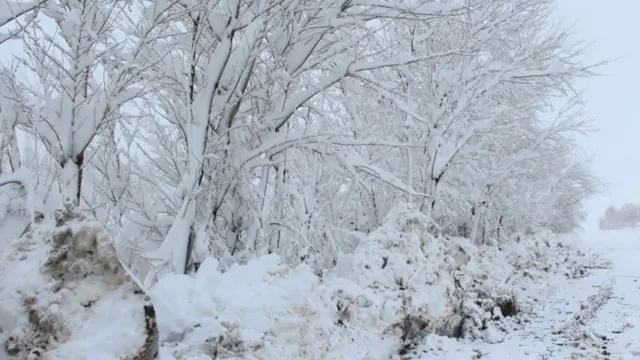 سالنگونه ديارلس زيانمنوکي ځايونه لري چې د چارواکو په وينا په وسمهالو واوره پاکونکو وسايلو سنبال دي.