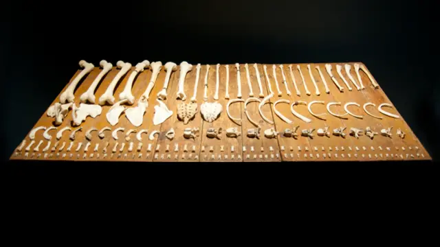 Работа Дженни Хольцер Lustmord посвящена в основном теме сексуального насилия 