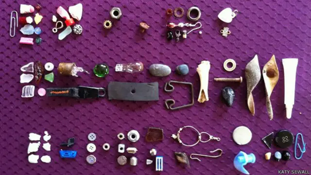 یہ چیزیں اس نے خود جمع نہیں کیں بلکہ یہ کوؤں کی جانب سے دیا گیا ایک تحفہ ہیں