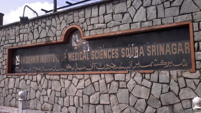 स्वाइन फ़्लू, कश्मीर