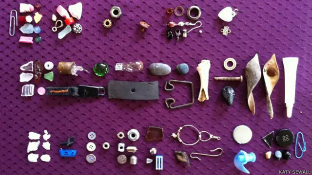 La colección de objetos traídos por los cuervos de Gabi Mann.