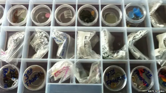 La colección de objetos traídos por los cuervos de Gabi Mann.