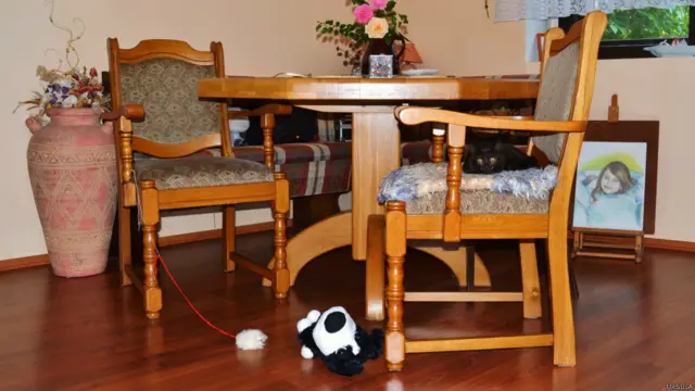 Фото: Урсула