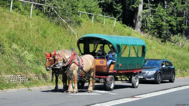 Фото: Александр В.