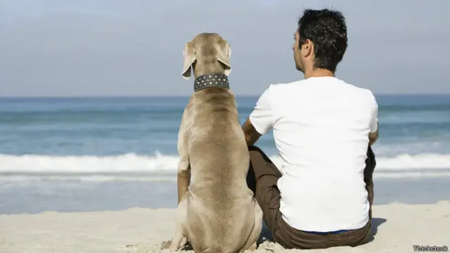 люди и собаки