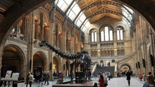 El Museo de Historia Natural de Londres continúa estando al frente en todo lo que se refiere a la investigación de dinosaurios. 