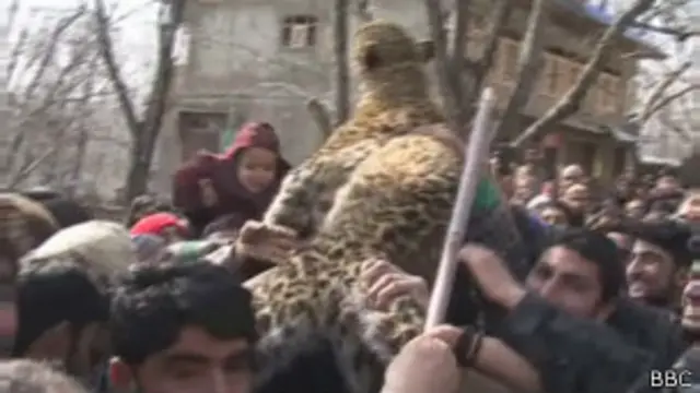 पुलवामा में आदमख़ोर तेंदुआ मारा गया